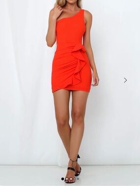 NWT Hello Molly Backstage Passes Dress -